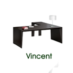 Vincent̨